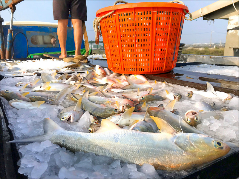 中國近2年陸續禁止我國農漁產品、食品等進口，在台積電赴美設廠後，中國更以註冊問題擴大卡關我國水產品、飲料、加工食品等。（資料照）