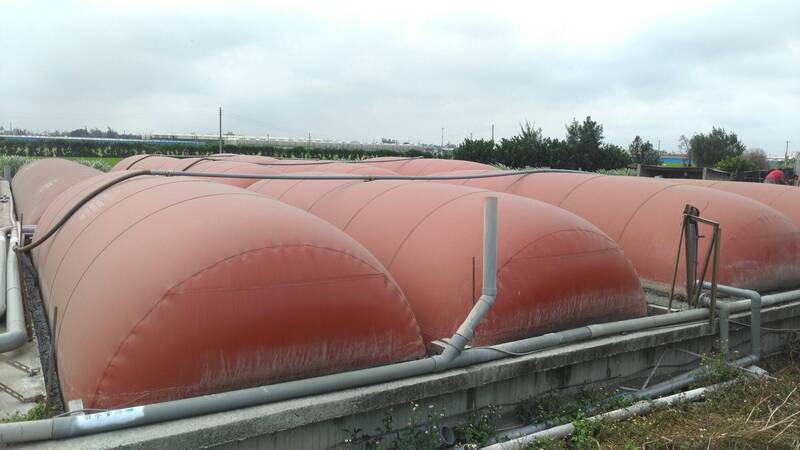 彰化縣目前接近600場養豬場，其中有11場進軍綠色循環經濟，投入沼氣發電，當中，有5場賣電給台電，賺綠金財。（縣府提供）
