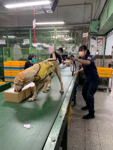 財政部關務署指出，自2008年以來，緝毒犬隊緝獲毒品共1004件、1萬2263公斤，市價逾116億元。（關務署提供）