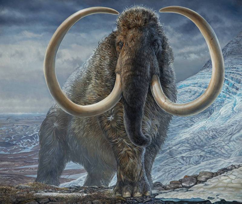 4千年前滅絕  猛獁象人造蛋白口感勝牛肉