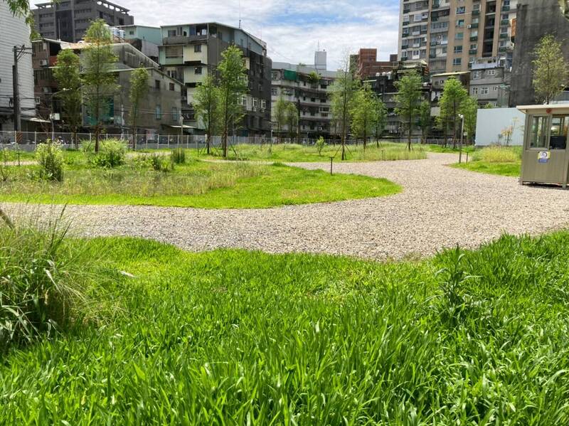 新北市板橋區南雅東路一處都更案基地已拆除地上物，實施綠美化。（都更處提供）