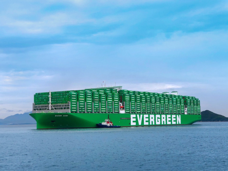 長榮海運第二季每股獲利2.41元。 （長榮提供）