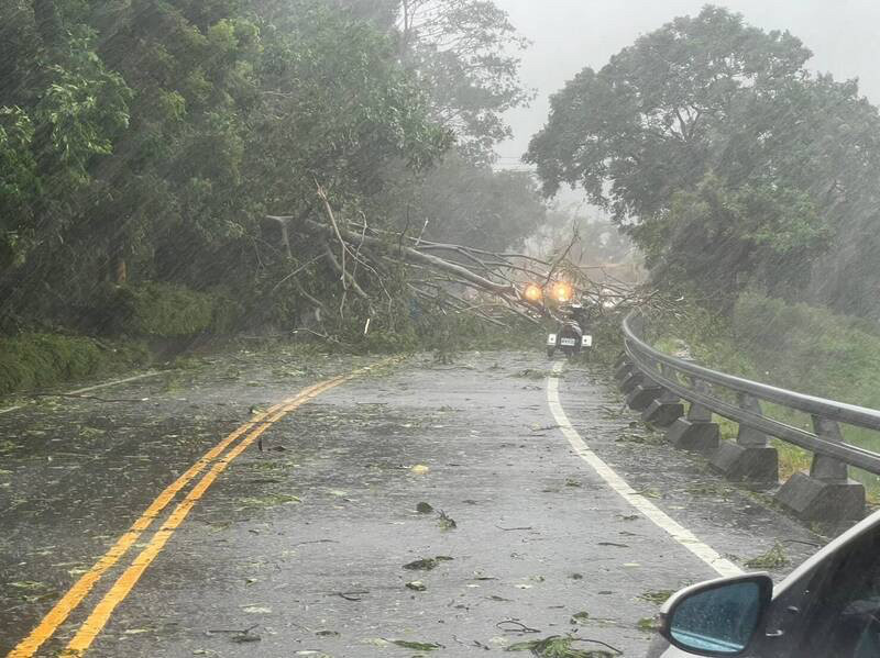 台東1/3用戶停電 台電：近5成已復電