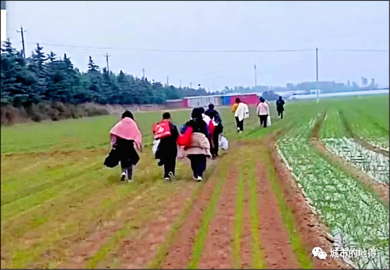 LTN經濟通》鴻海的危機？郭董的豪賭