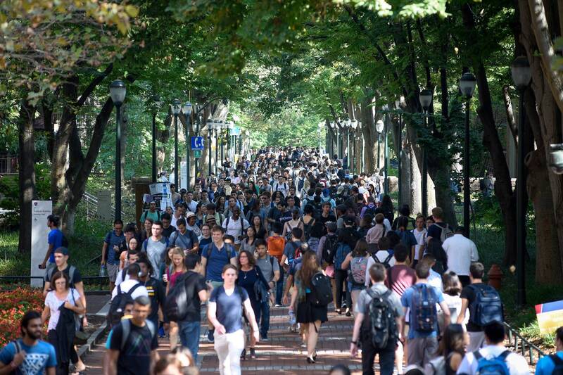 常春藤盟校畢業求職不「薪苦」！賓州大學以年薪364萬奪冠