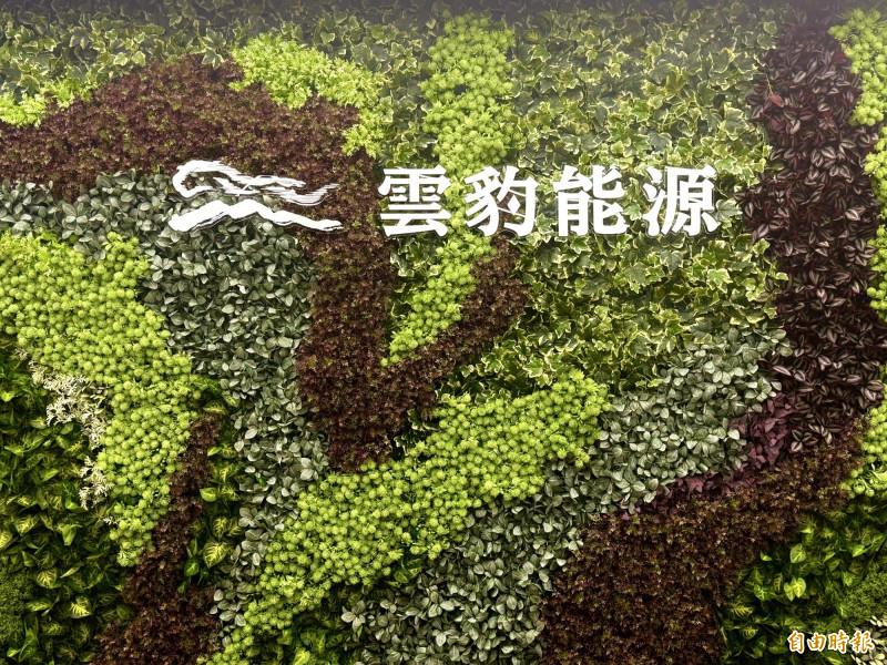 外資連買5日，雲豹放量急攻。（資料照） 