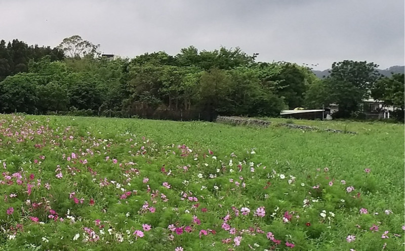 有民眾獲贈免稅土地卻收到稅單，新竹縣政府稅務局表示，因其受贈土地上有農業經營設施，土地移轉後，免稅資格要重新申請，5月1日至31日為申請期限。示意圖，與本新聞無關。（記者廖雪茹攝）