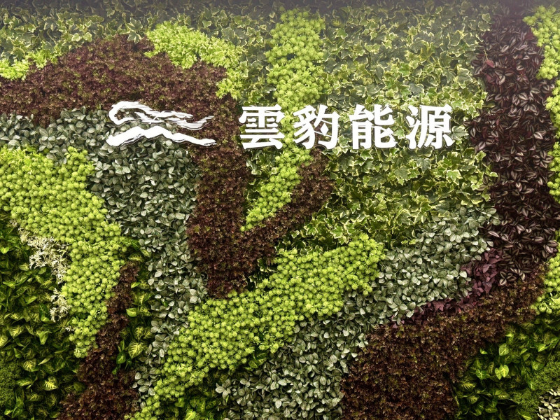 金融市場波動，雲豹能源首季每股虧損1.77元。（資料照）