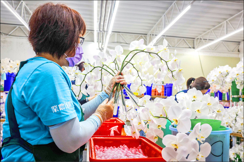 因應美國對台灣暫時性關稅，農業部昨宣布，180億元農漁產業支持方案正式受理申請。（法新社資料照）