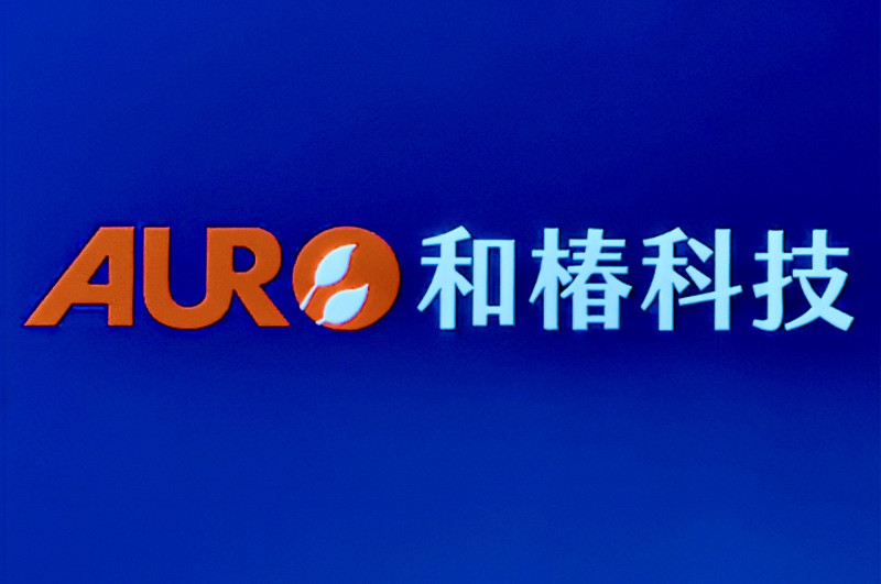 和椿指出，公司參加今年台北自動化展，將有多款人形機器人實機登場。（資料照）