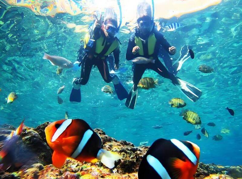 沖繩潛水店年收千萬日圓卻拒絕擴張,日媒揭開背後秘辛。(擷取自社群平台)