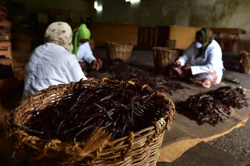 馬達加斯加經濟迄今仍高度依賴農業，超過70%的馬達加斯加人是農民，而最重要的作物是香草。（法新社）