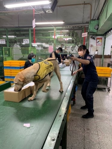 為防堵非洲豬瘟,財政部關務署表示,對海空運快遞貨物或郵包,海關均百分之百實施X光查驗。(資料照)