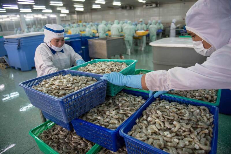 越南蝦出口強勁,台灣也是買家之一。(法新社)