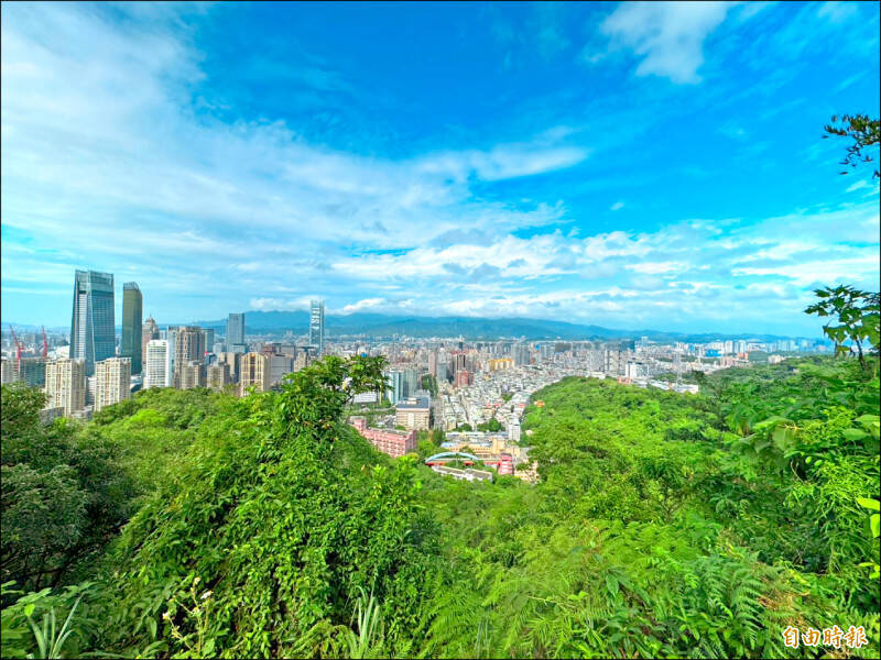 寶佳買中工，一石二鳥劍指中石化。（資料照）