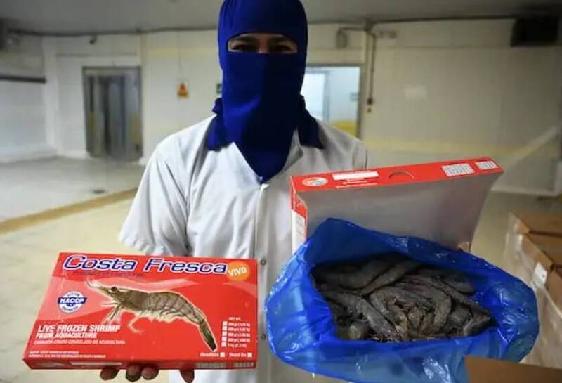 宏都拉斯蝦業出口因北京承諾跳票，喪失競爭力。（取自網路）