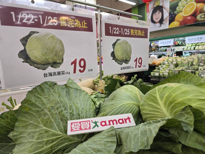 迎接農曆新年週末採購潮，愛買量販店祭出生鮮蔬菜與進口水果限時優惠，即日起至1月25日，台灣高麗菜 1 公斤、台灣白蘿蔔皆只要 19 元。（愛買提供）