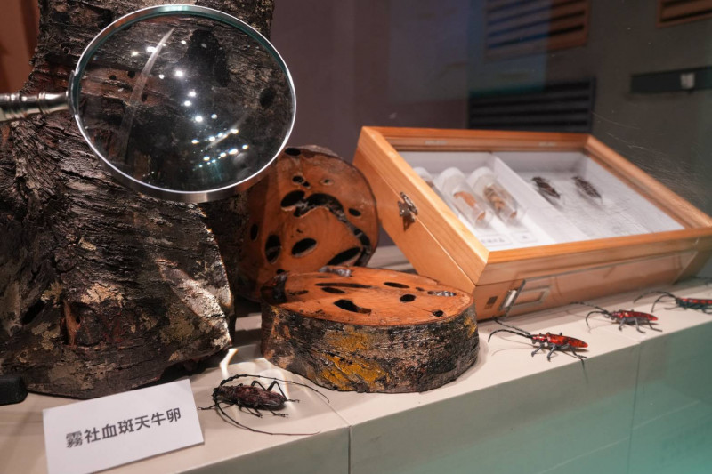 「自然共生‧生態嚮艷」特展今（31）日於科博館盛大開展。（台電提供）