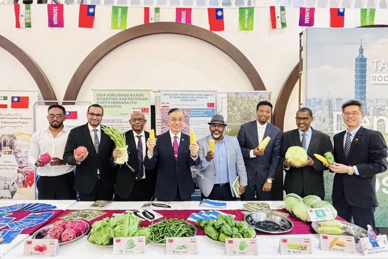 比以色列更早！英媒揭台灣模式布局紅海「金銀島」贏得外交新夥伴