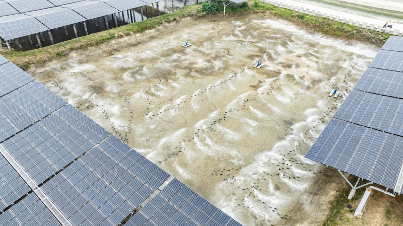嘉義漁電共生撤照案延燒 養殖戶與地主聯名提告縣府 嘉義漁電共生撤照案延燒 養殖戶與地主聯名提告縣府