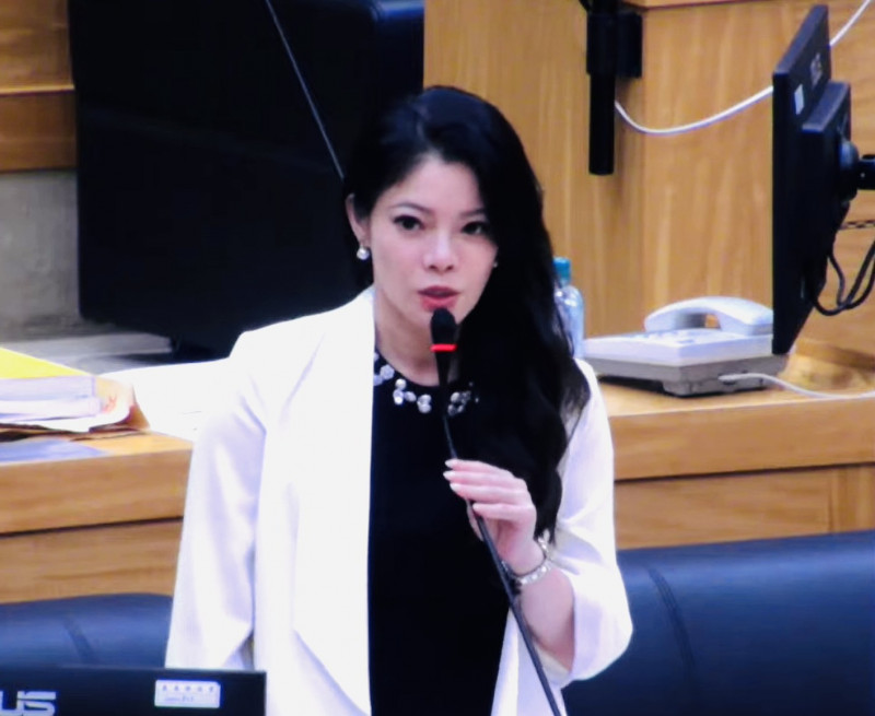 台積電商機無限  嘉義縣議員黃嫈珺倡建「朴子世貿展覽館」變現