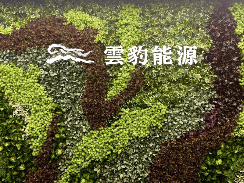 焦點股》雲豹︰法說沒變「法會」 漲停跌破眼鏡