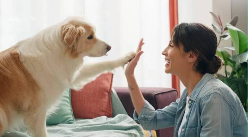 有副業必做1件事！專家提醒跳過恐抹去辛苦賺的錢