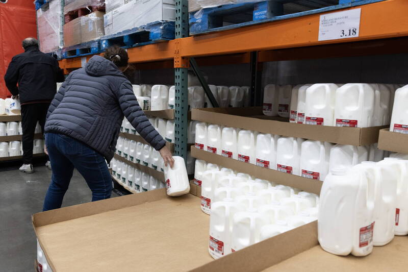 中國廠要多驗1次！Costco牛奶「超耐放」內幕曝光