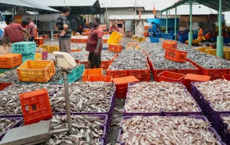 蝦子被捲入關稅網 美國買家苦哈哈、知名連鎖餐廳倒嘞