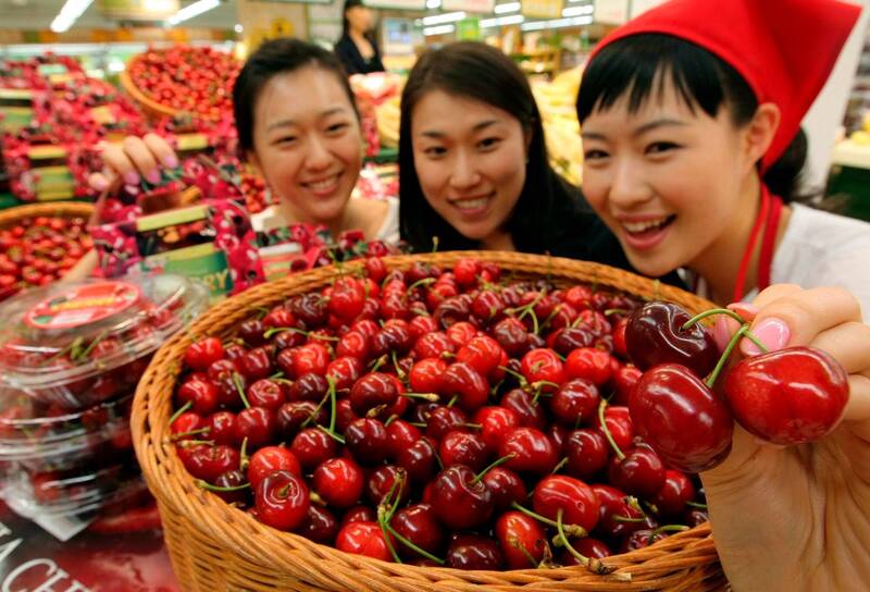 台灣爽吃櫻桃！前10月進口衝破1.9萬噸狂增近5成、超越去年全年