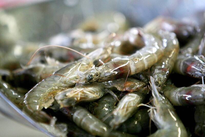 建交中國被坑想回頭！宏國淚訴蝦農倒一片  喊話台灣最好