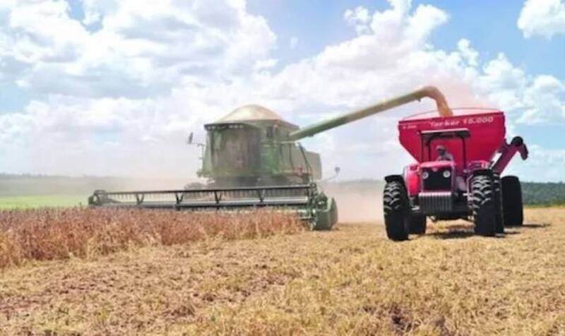 台灣這友邦深怕若轉向中國恐「一夜間」經濟崩了 宏國蝦前車之鑑！