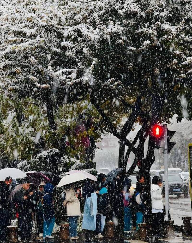 取消赴日行程的中國人去哪裡？ 中媒曝 : 為了要看雪、全去「這地點」