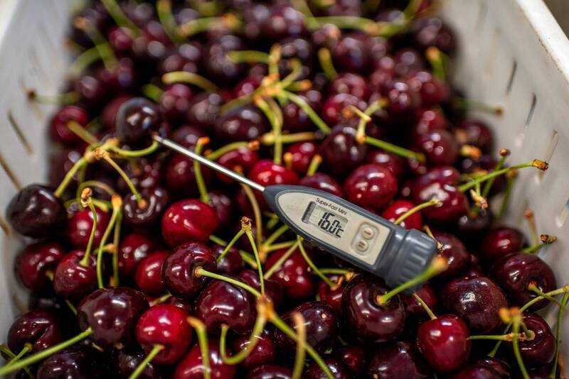 台灣也嚐甜甜價！全球智利櫻桃價格大跳水 「2關鍵因素」曝光