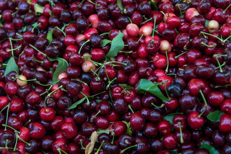 這國掃光9成智利櫻桃  價格崩跌快7成、殺到幾乎是台灣的一半