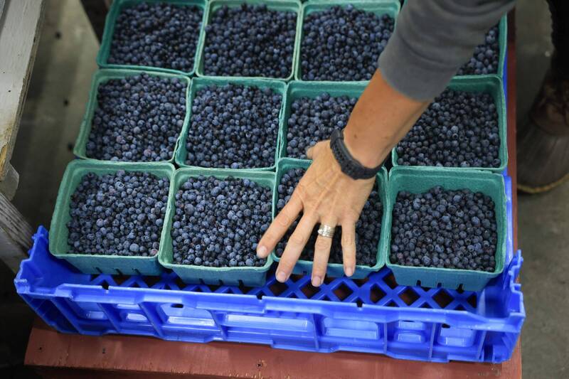吃藍莓要趁早買！下個月可能漲價 主要產國曝原因了