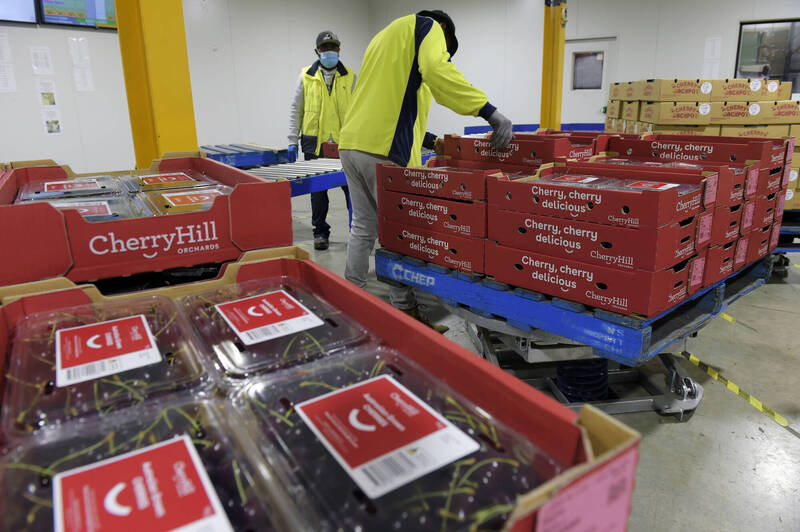 這國頂級實力櫻桃來了！價格漂亮品質好 不是智利櫻桃