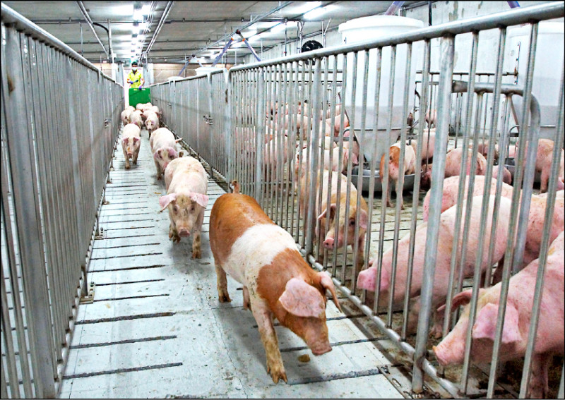 學者肯定農產談判 籲2基金加碼