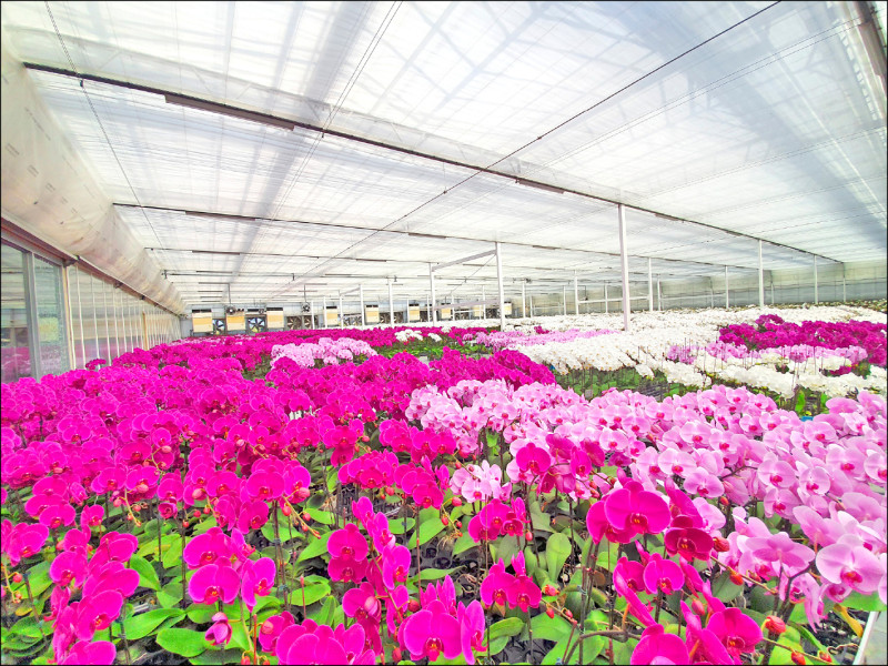 確保零關稅 蘭協盼速通過ART