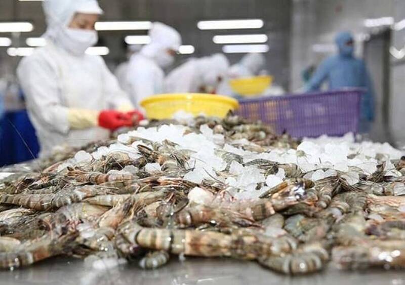 這國蝦類出口崩減60％ 關稅大刀不留情