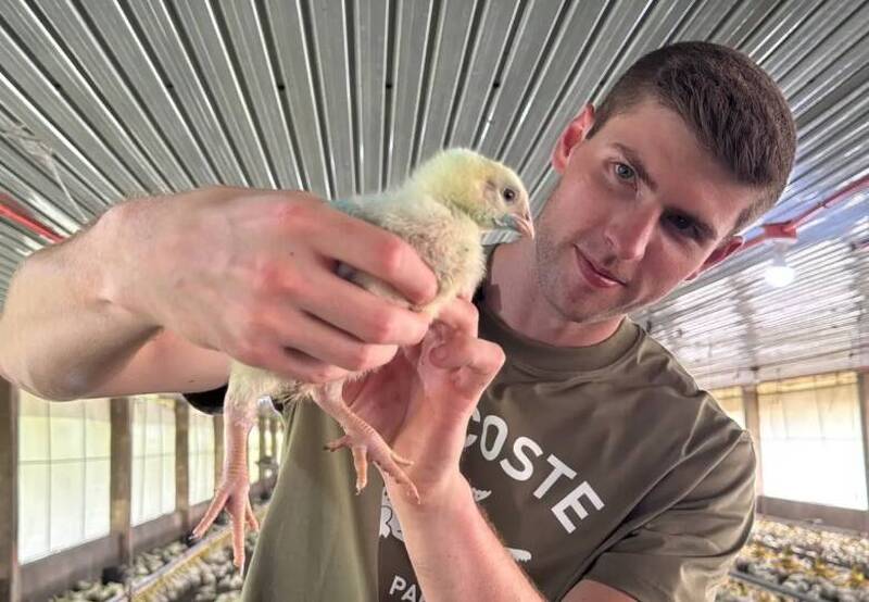 348萬年薪說放就放！他棄金融業「改當養雞農」 不後悔原因曝