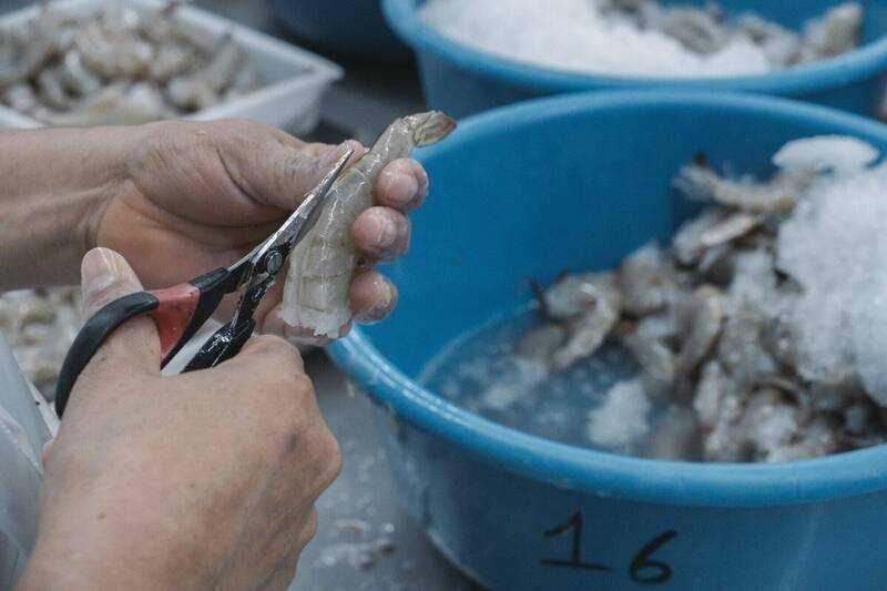 「蝦」爆了！斷交台灣4年白蝦蒸發逾6成  這國遭中慘坑哭訴快滅頂