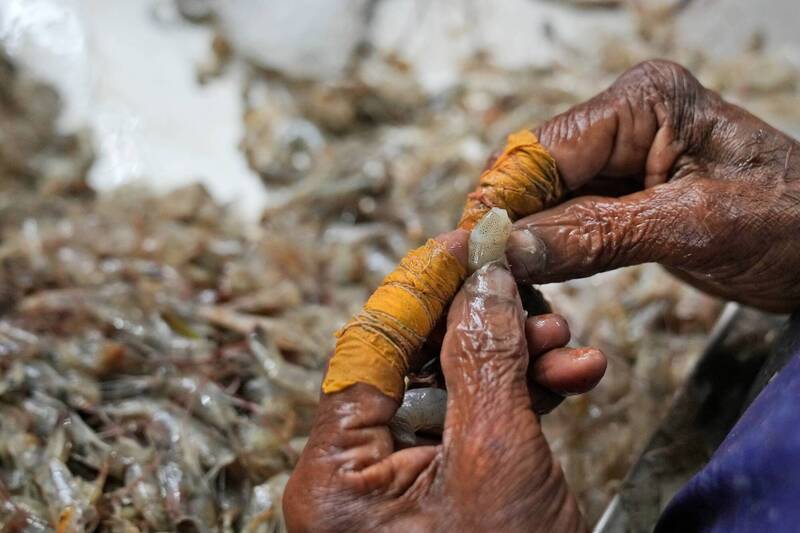 禁日水產改買印度蝦？中國進口狂增117％  登第二大買家