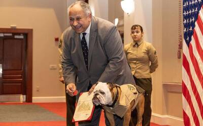 狗狗學長好! 美海陸軍犬晉升下士