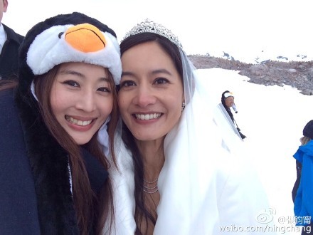 Janet南極婚禮 張鈞甯賣萌扮企鵝