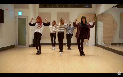 (有片)MV點閱破700萬 EXID獻清純版《HOT PINK》