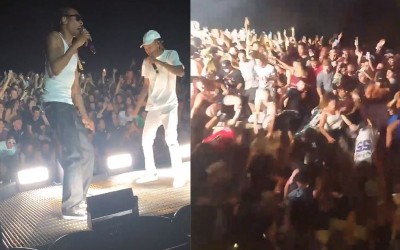 （影音）史努比狗狗開唱圍欄突倒塌 42名粉絲受傷