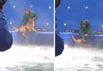 毛孩電影虐狗調查報告出爐！「故意遭剪接來誤導大眾」