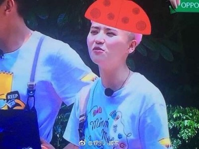 廣電總局好大官威連毛都管 中國鄉民：台灣舉彩虹旗我們卻…