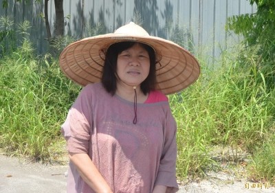 蔣月惠搖身神級綜藝咖 吳宗憲謝震武爭邀上通告